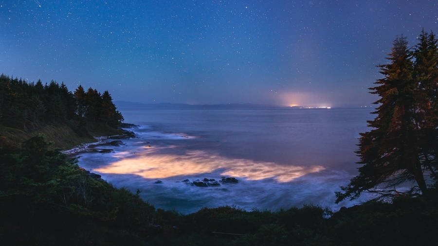 Caribbean Beach At Night Wallpaper