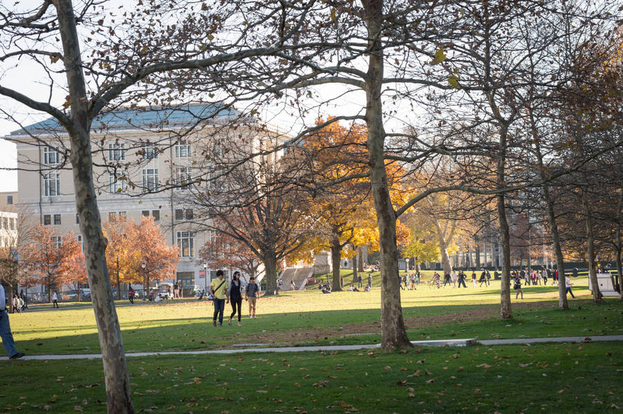 Carnegie Mellon University Field With Trees Wallpaper