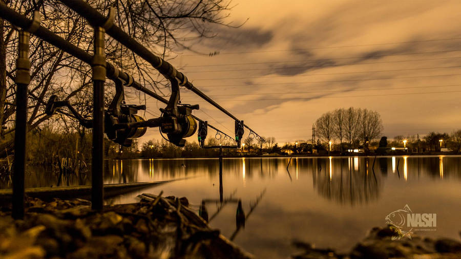 Carp Fishing In Lake Wallpaper