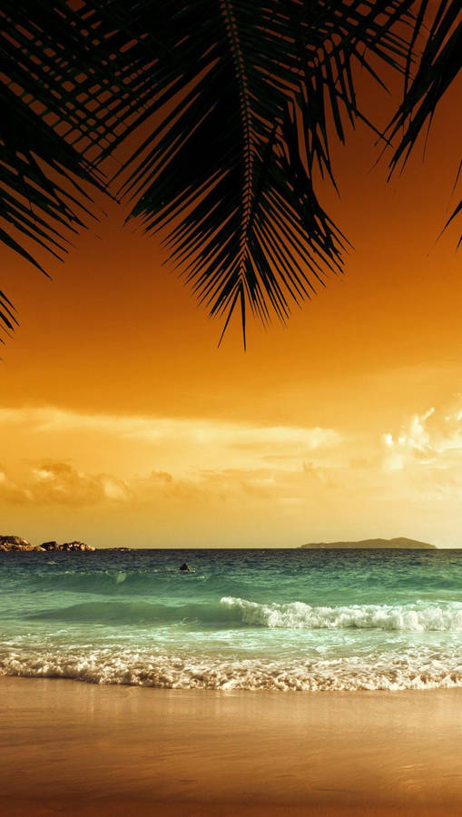 Carribean Beach Iphone Wallpaper