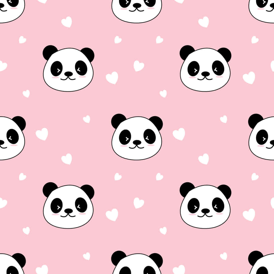 Cartoon Animal Panda Wallpaper