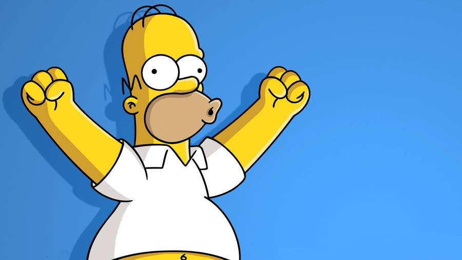 Cartoon Character Homer The Simpsons Wallpaper