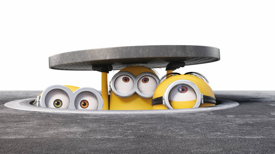 Cartoon Minions Despicable Me Wallpaper