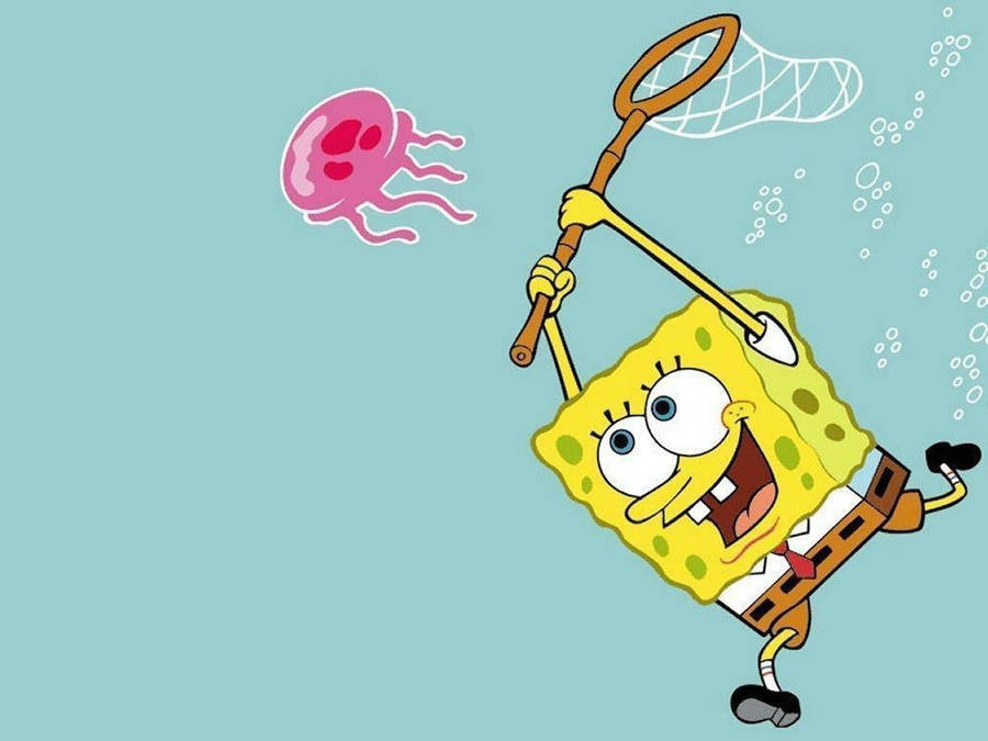 Cartoon Spongebob Squarepants Wallpaper