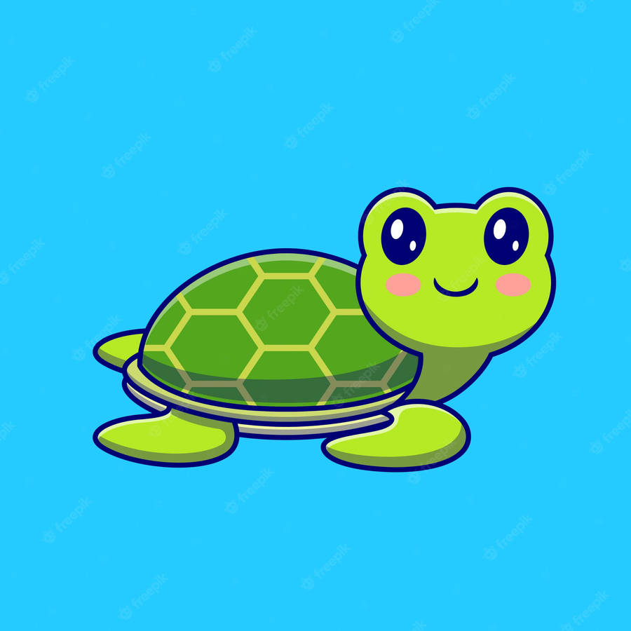 Cartoon Turtle On Blue Wallpaper