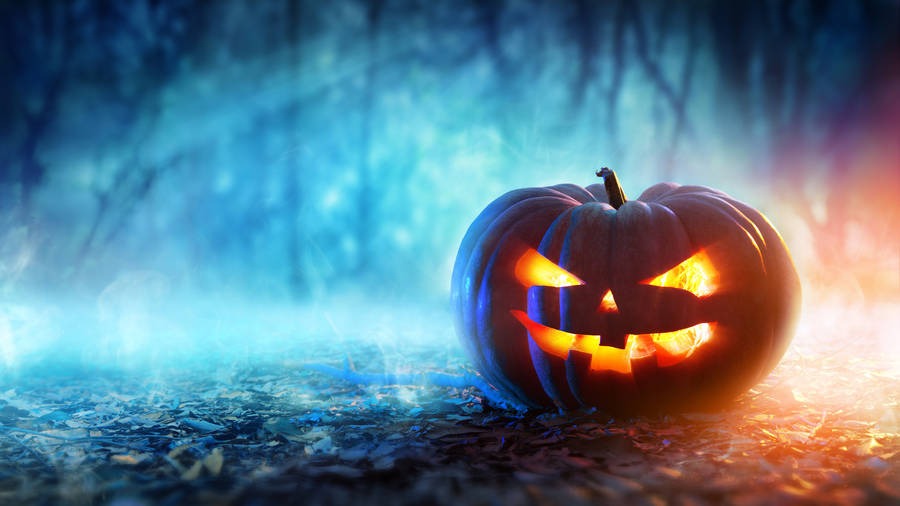 Carved Pumpkin With Lights Halloween Computer Wallpaper