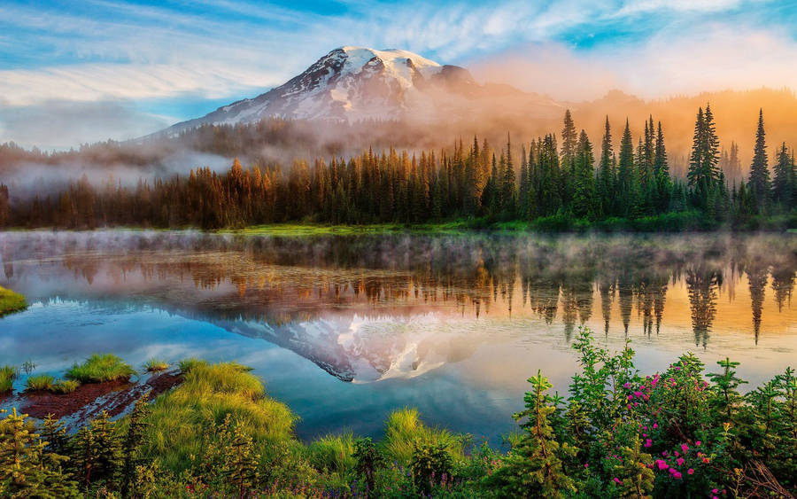 Cascade Range Forest Lake Wallpaper