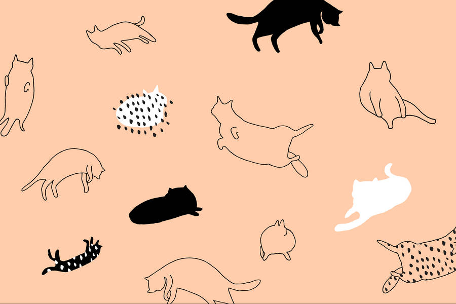 Cat Art Minimalist Outline Illustration Wallpaper