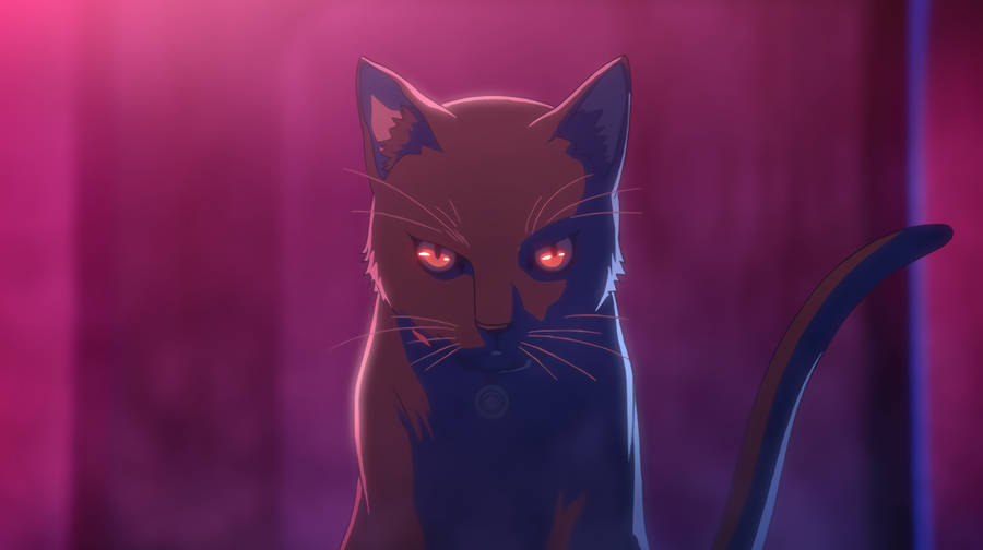 Cat Computer Black Anime Wallpaper