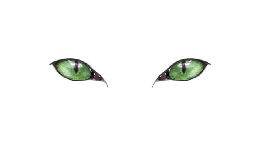 Cat Green Eyes Digital Illustration Wallpaper