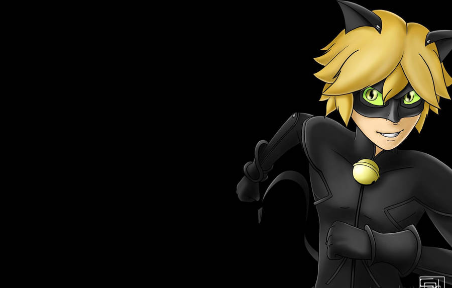 Cat Noir Digital Art Wallpaper