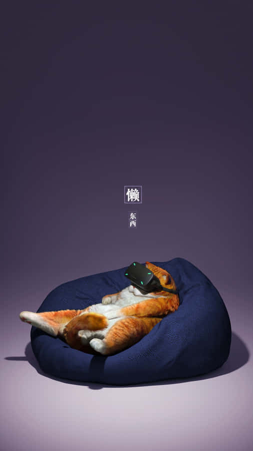 Cat_ Virtual_ Reality_ Experience Wallpaper