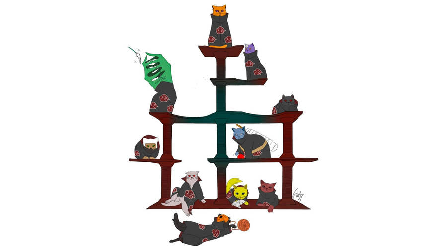 Cats Akatsuki Pc Wallpaper