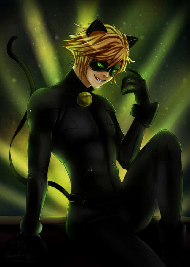 Catwoman By Sassy_cat Wallpaper