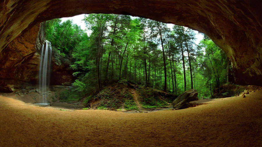 Cave In Forest Wallpaper