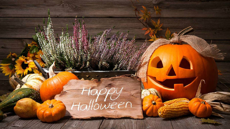 Celebrate Halloween With Fun And Joy Wallpaper