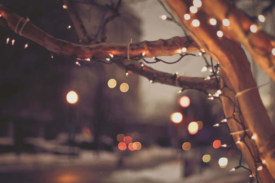 Celebrating Christmas With The Magic Of Tumblr Wallpaper