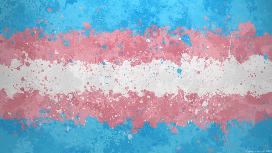 Celebrating Love And Acceptance At Trans Pride Wallpaper