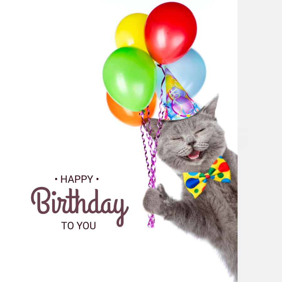 Celebratory Catwith Balloons Birthday Greeting Wallpaper