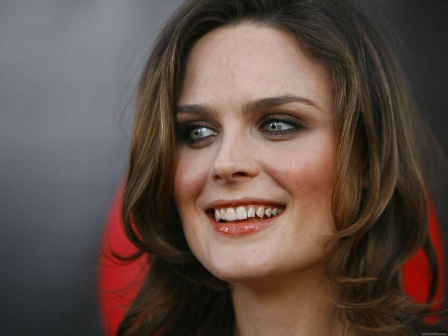 Celebrity Emily Deschanel Smiling Wallpaper