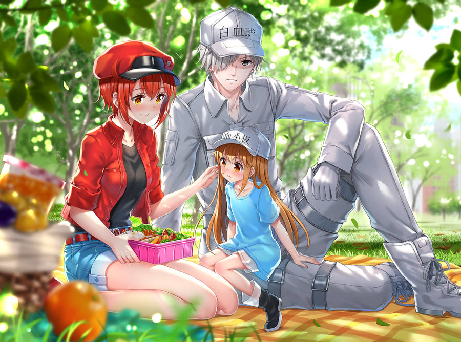 Cells At Work On Picnic Fanart Wallpaper