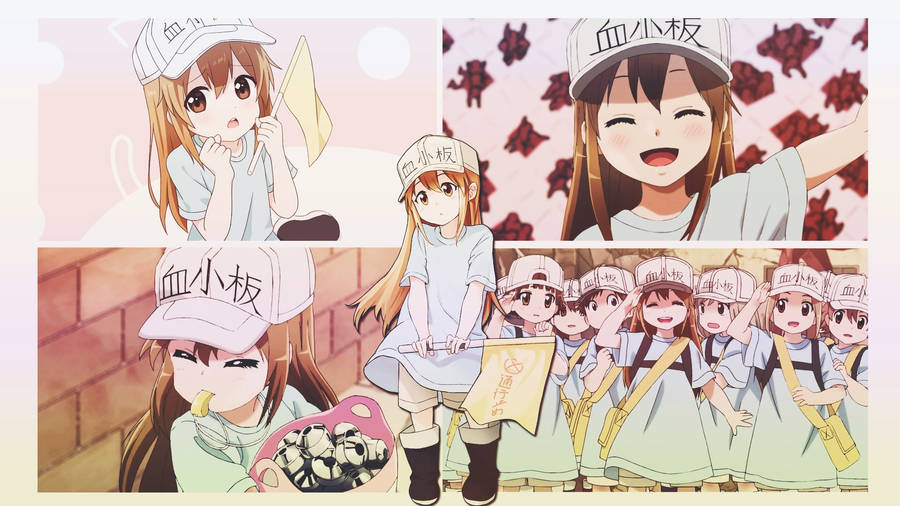 Cells At Work Platelet Cute College Wallpaper