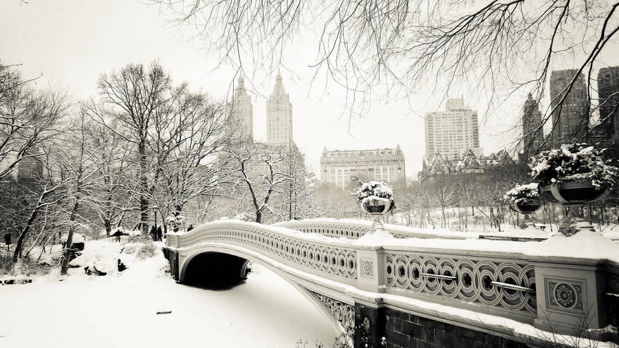 Central Park Bridge New York Computer Wallpaper