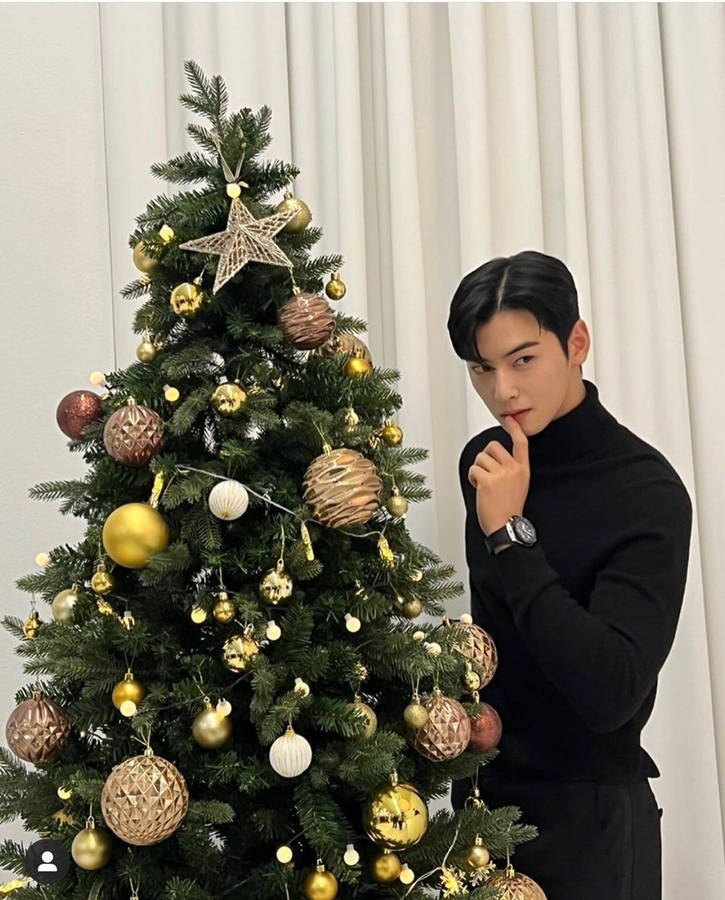 Cha Eun Woo Christmas Wallpaper