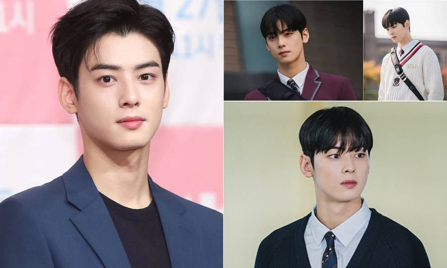 Cha Eun Woo True Beauty Wallpaper