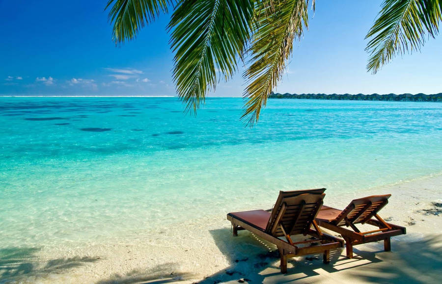 Chairs Overlooking Beach Desktop Wallpaper