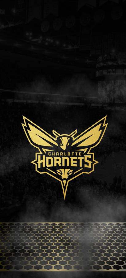 Charlotte Hornets In Black Wallpaper