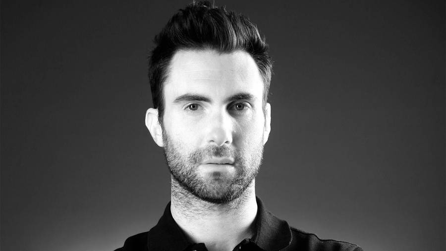 Charming Adam Levine Wallpaper