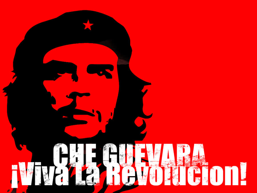 Che Guevara Viva La Revolucion Graphic Wallpaper