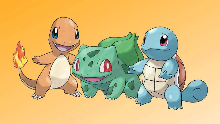Check Out This Adorable Baby Squirtle! Wallpaper