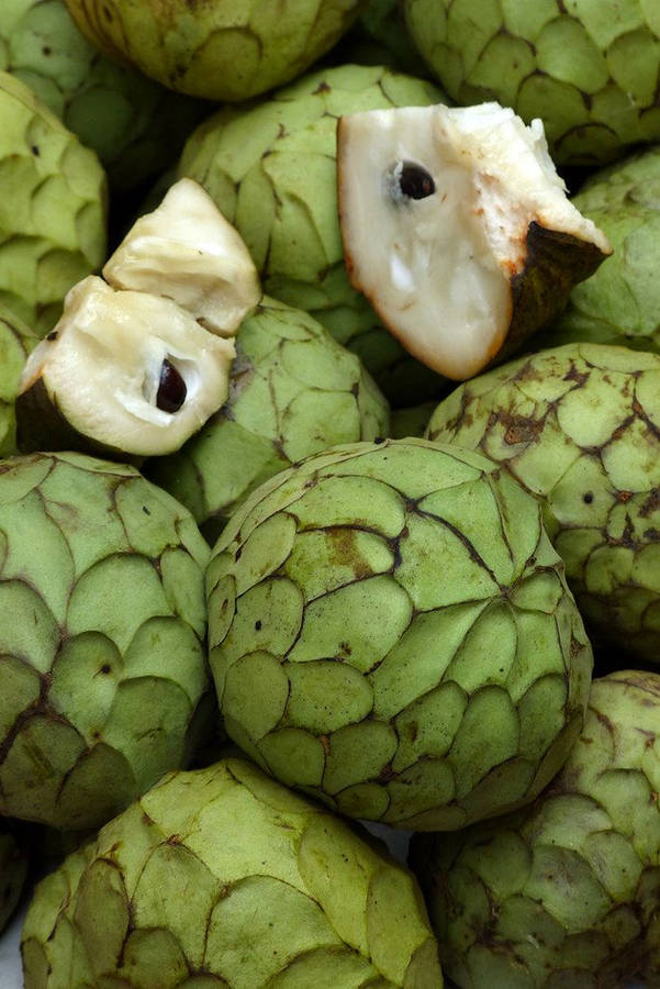 Cherimoya Custard Apple Fruit Wallpaper