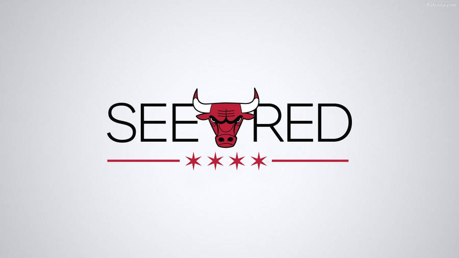 Chicago Bulls All White Logo Wallpaper