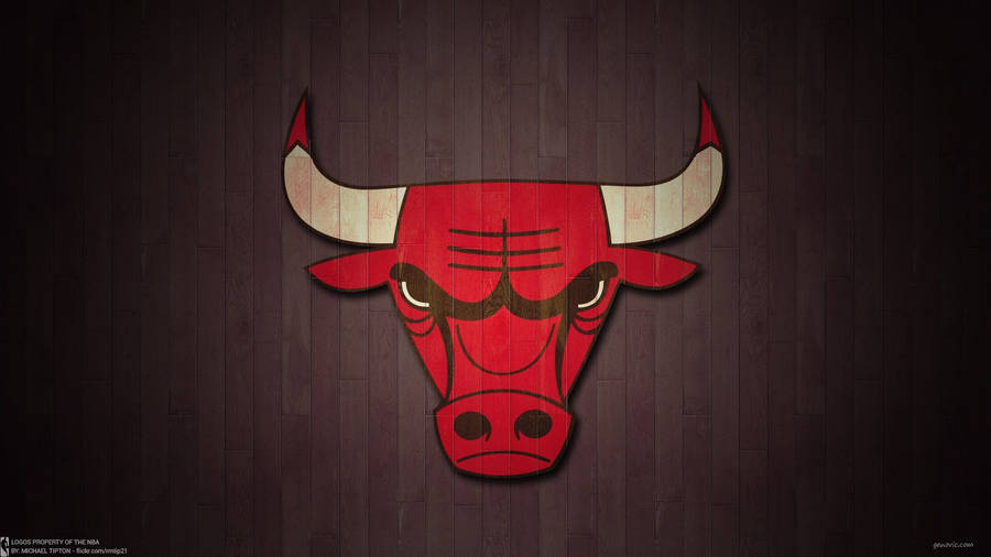 Chicago Bulls Basketball Court Logo Wallpaper