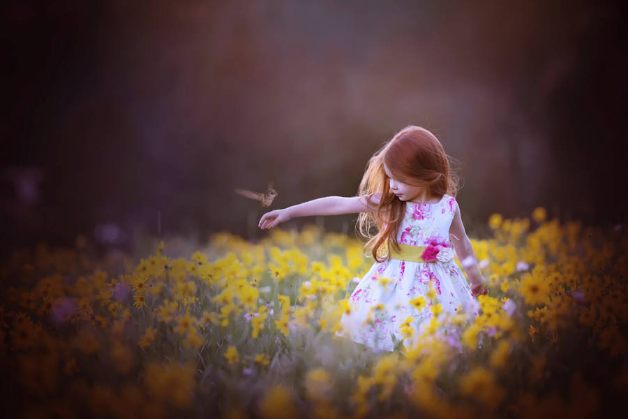 Child And Bird On A Daisies Field Wallpaper