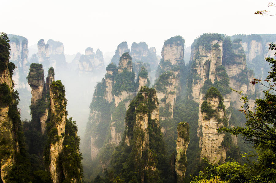 China Zhangjiajie National Forest Park Wallpaper