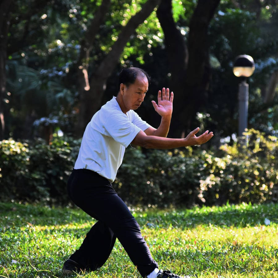 Chinese Exercise Qi Gong Tai Chi Wallpaper