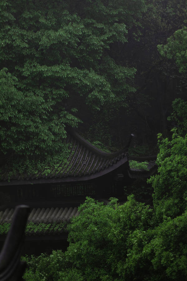 Chinese Pagoda Among Greenery Wallpaper