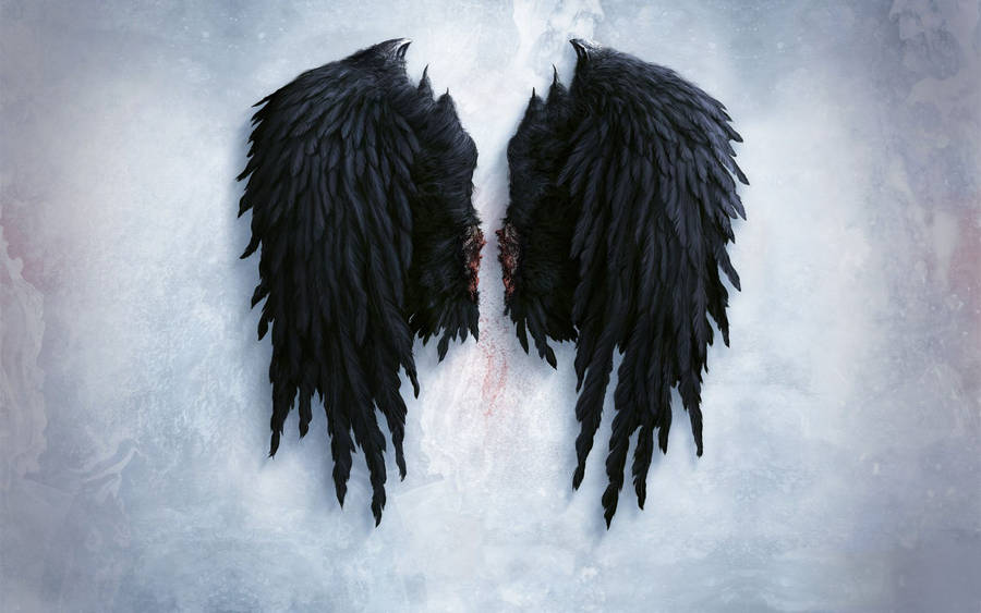 Chopped Black Angel Wings Wallpaper