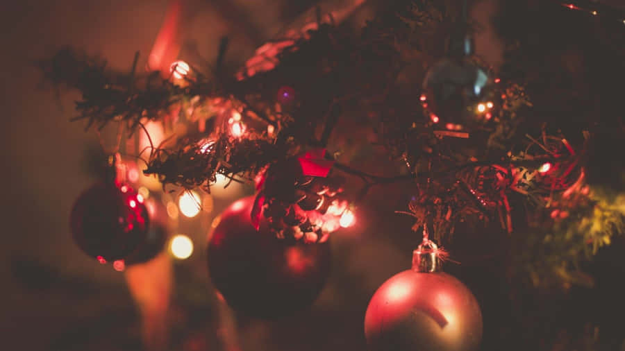 Christmas Cheer While You Type Away Wallpaper