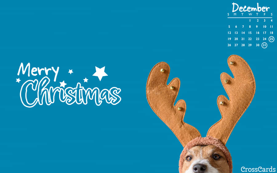 Christmas Dog Calendar Wallpaper