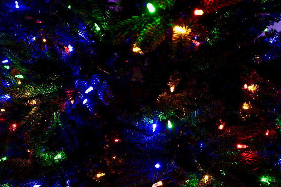 Christmas Lights For Preppy Christmas Iphone Wallpaper