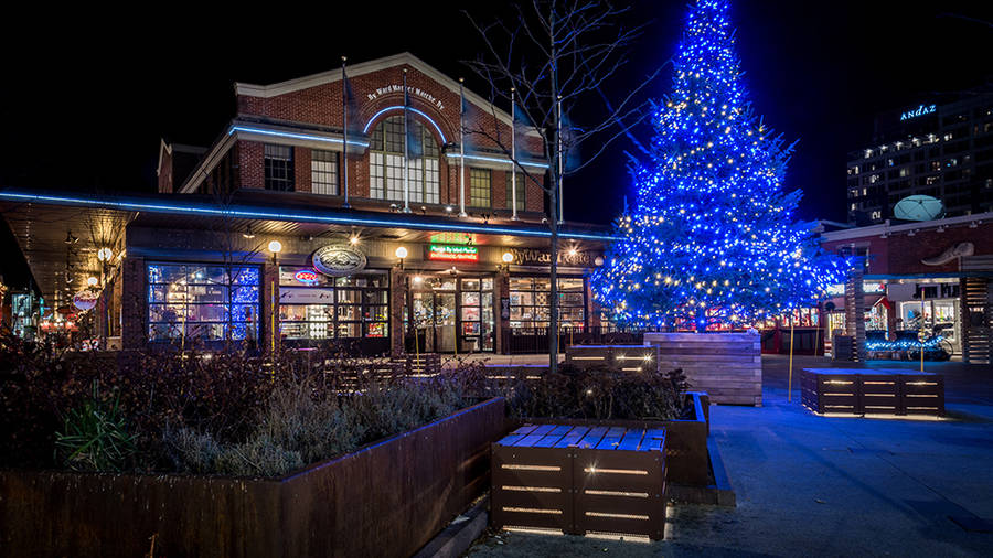 Christmas Tree In Byward Market Square, Ottawa Wallpaper