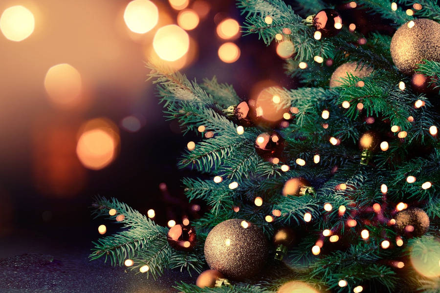 Christmas Tree Screen Saver With Lights Wallpaper