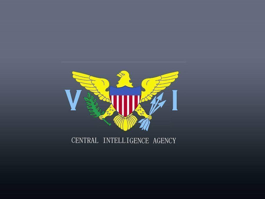 Cia Logo Yellow Eagle Wallpaper