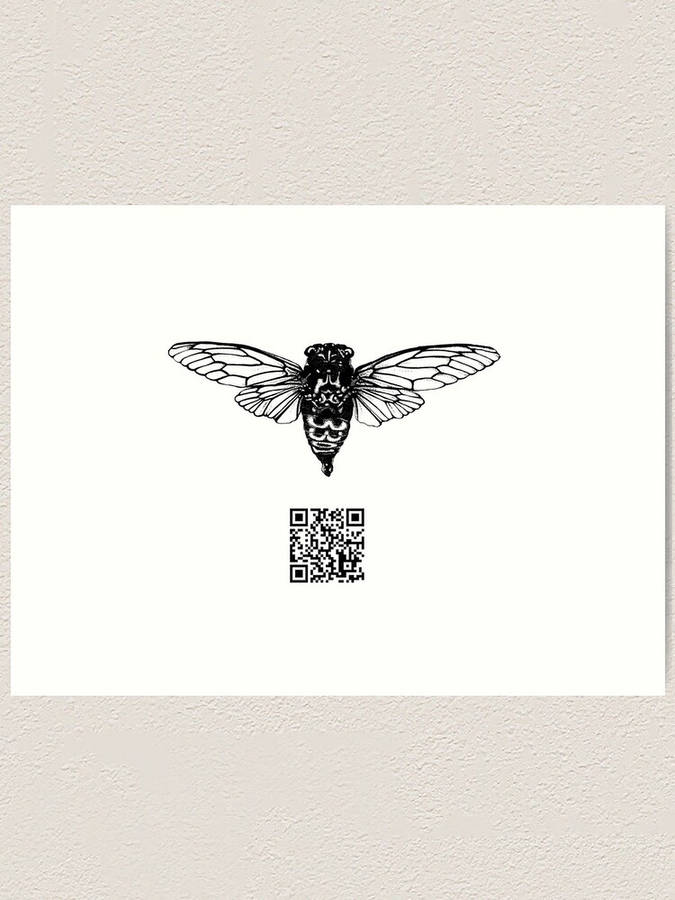 Cicada And Qr Code Wallpaper