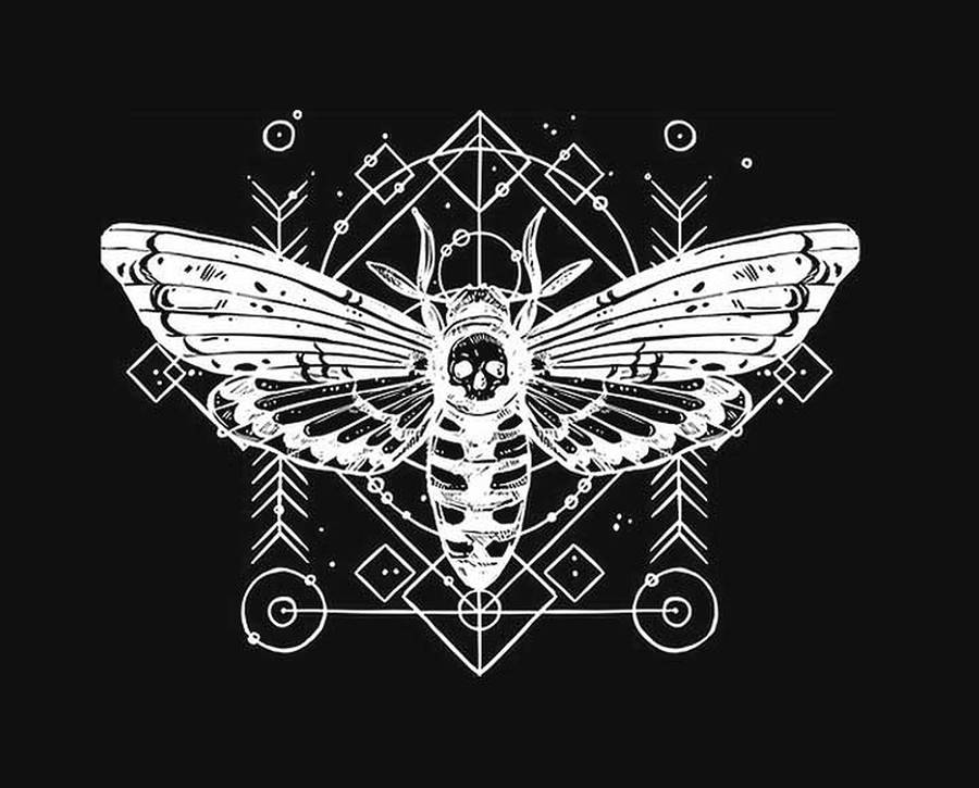 Cicada Skull Art Wallpaper